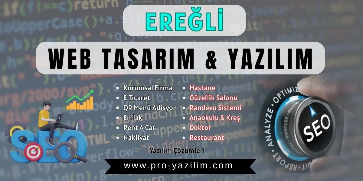 Ereğli web tasarım yazılım